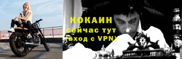 ешки Аркадак