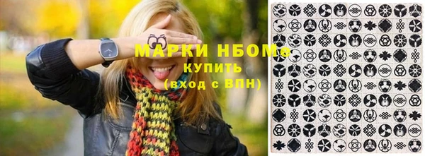 ешки Аркадак