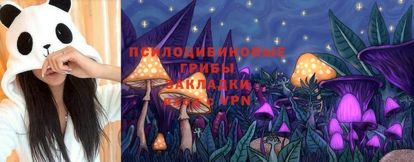 таблы Арсеньев